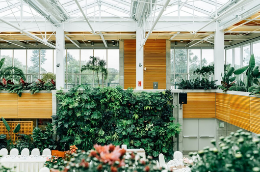 Tennessee Bloom Foundation